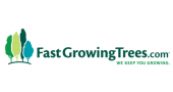Magnolia Trees as low as $34.95